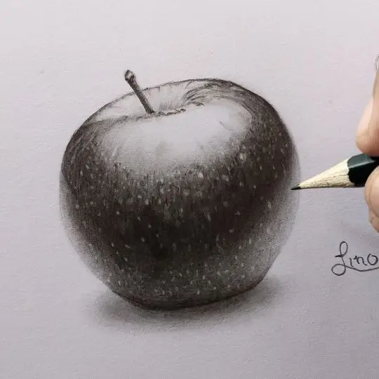 Primo disegno con texture realistica