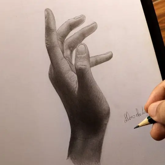 Studio della mano